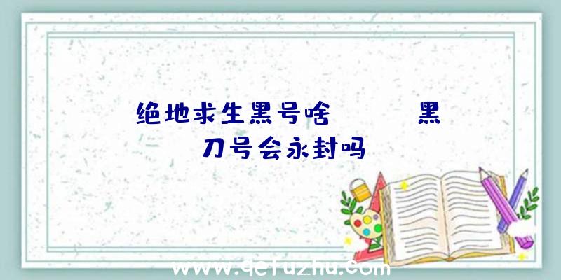 「绝地求生黑号啥」|pubg黑刀号会永封吗